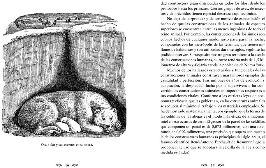 Interior 2