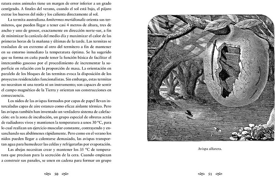Interior 3
