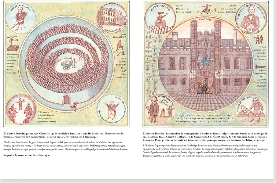 Interior 2