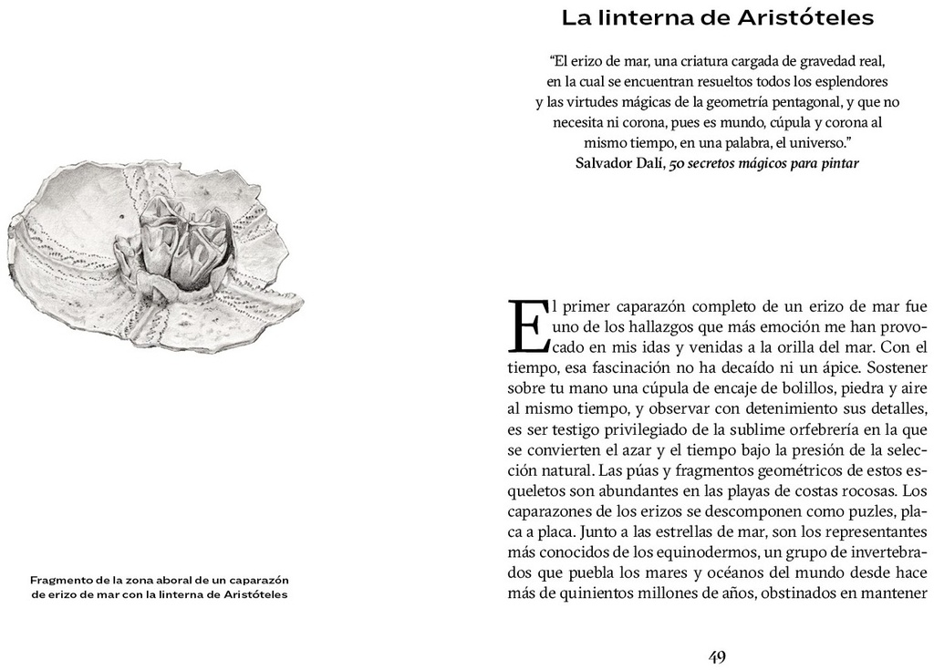 Interior 2