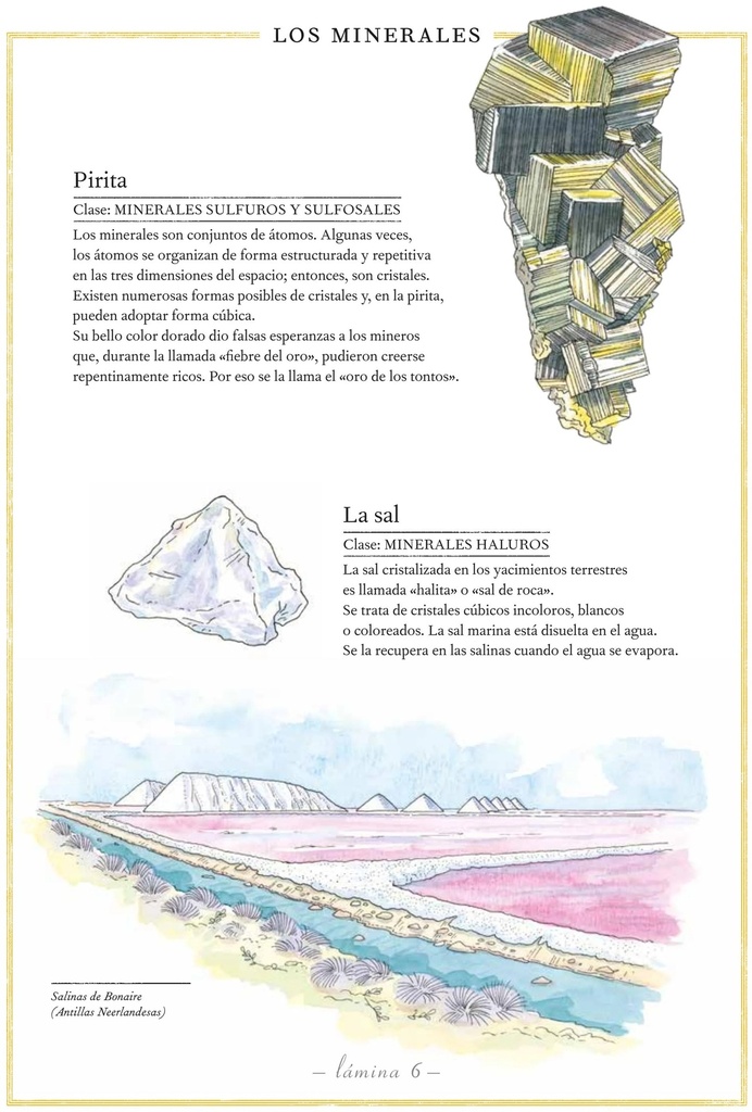 Interior 6