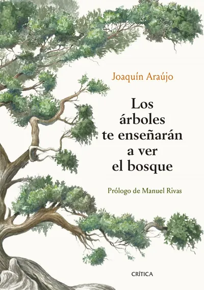 [9788491992080] Los árboles te enseñarán a ver el bosque